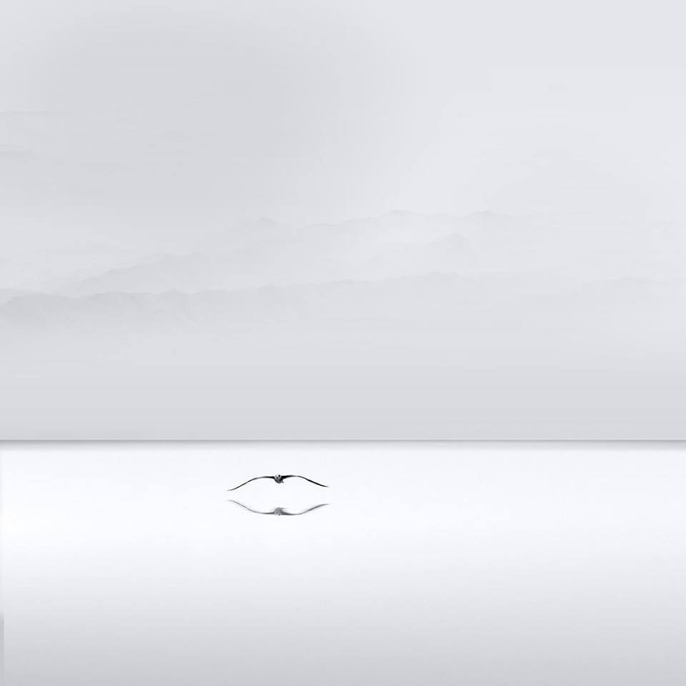 26055818_2048648418700070_5719526706539256282_n